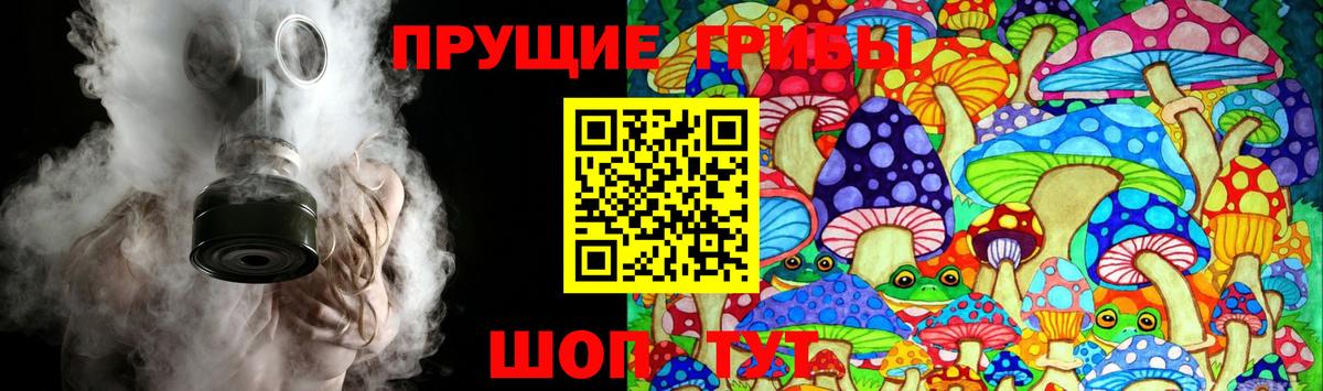 Псилоцибиновые грибы мицелий Алапаевск