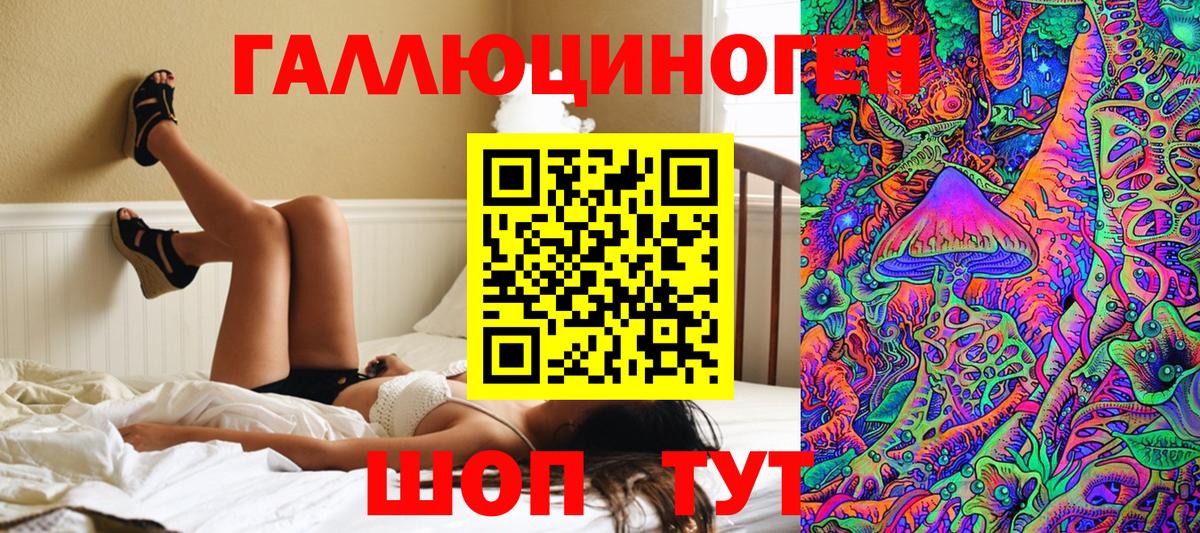 Псилоцибиновые грибы Psilocybe  Вход с VPN  цена наркотик  Алапаевск  Псилоцибиновые грибы Magic Shrooms 