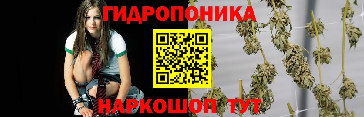 Марихуана SATIVA & INDICA Алапаевск